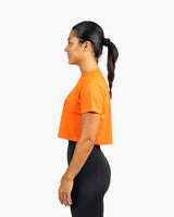 Velites Crop Holo