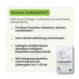 Optimum Performance Fundament